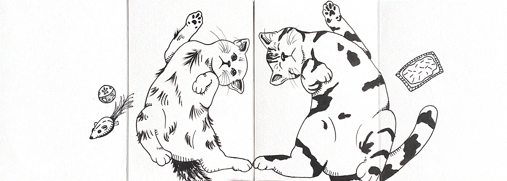 Cats VS Rats 1