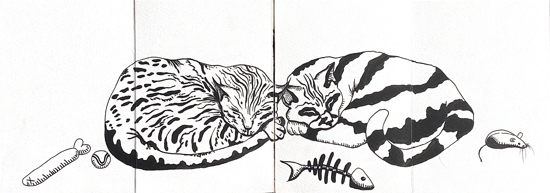 Cats VS Rats 2