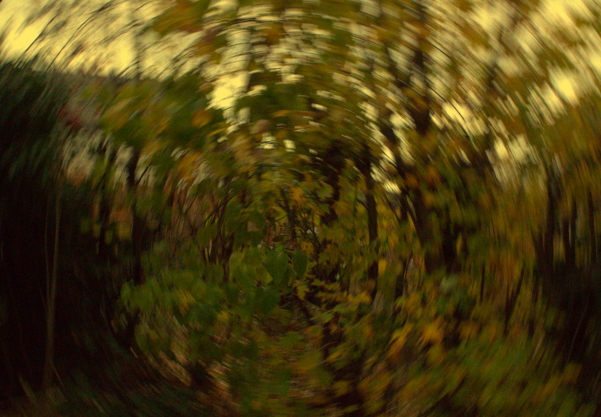 Self Portrait 2 2024
